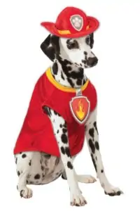 Marshall Paw Patrol Dog & Cat Costume