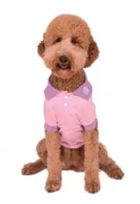 Pink Polo Shirt Dog & Cat Costume Accessory