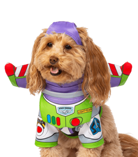 Pet Costume Center - Pet costumes for any occasion