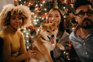 Dog Christmas with people